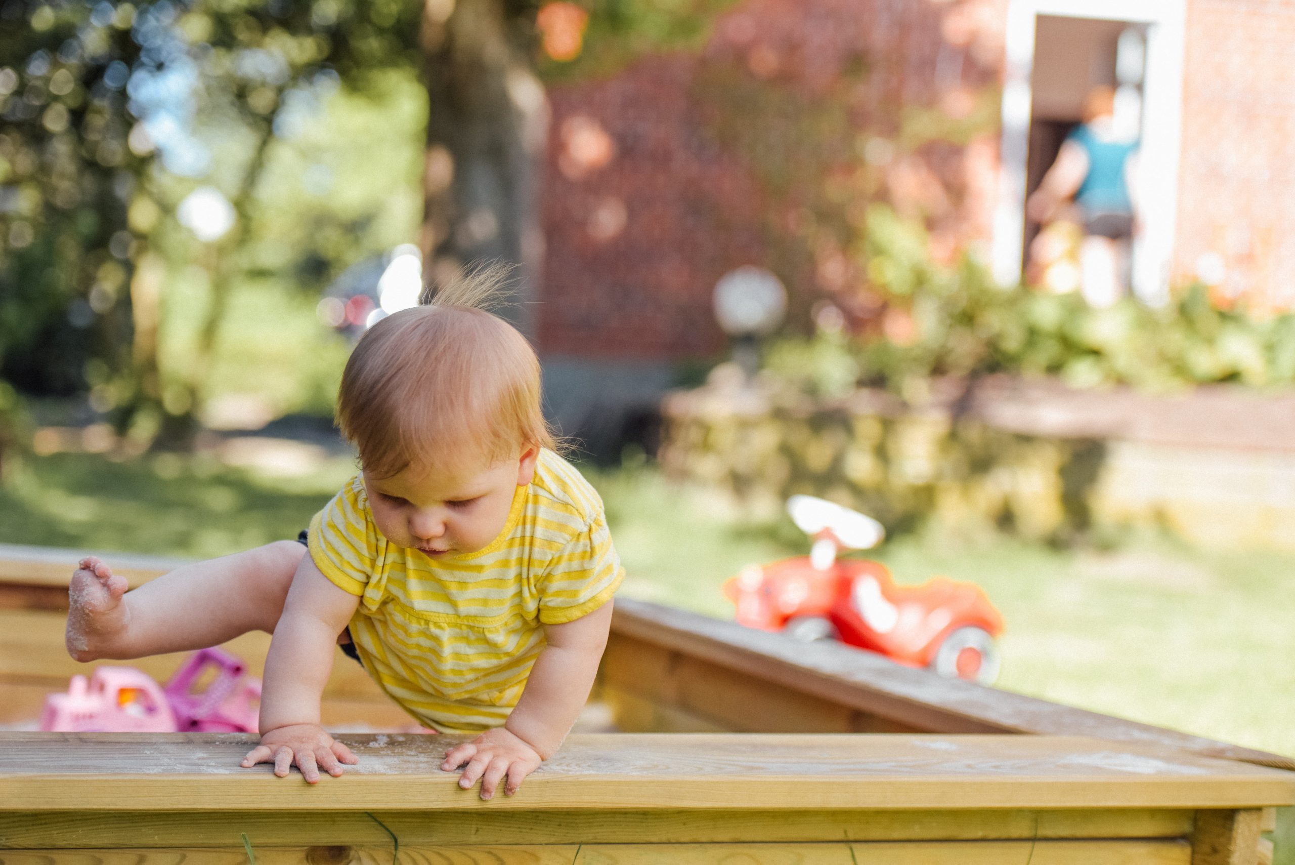 Babykurs „Setzlinge“