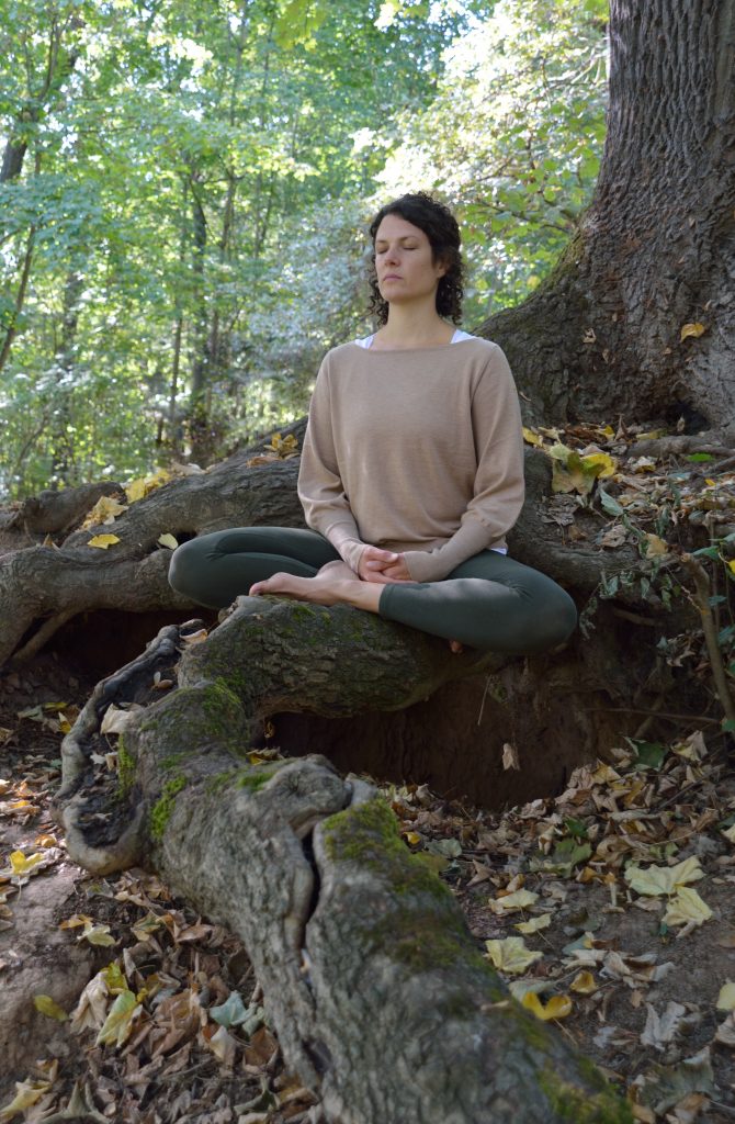 Noch Plätze frei! Wochenend-Kurs „SchwangerZeit – entspannt durch Schwangerschaft & Geburt“ - FiZ Leipzig DSC 9424 - FiZ Leipzig