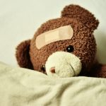 teddy 3183563 - FiZ Leipzig