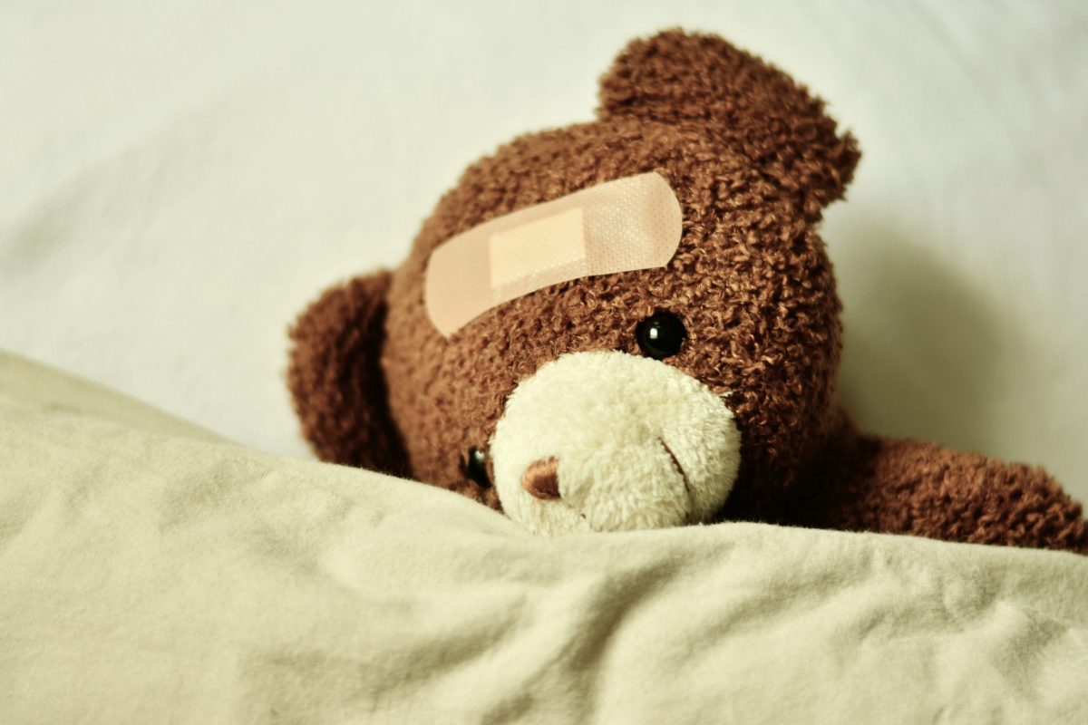 teddy 3183563 scaled - FiZ Leipzig