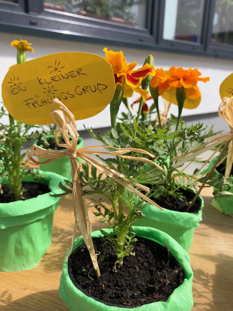 IMG 0304 - FiZ Leipzig