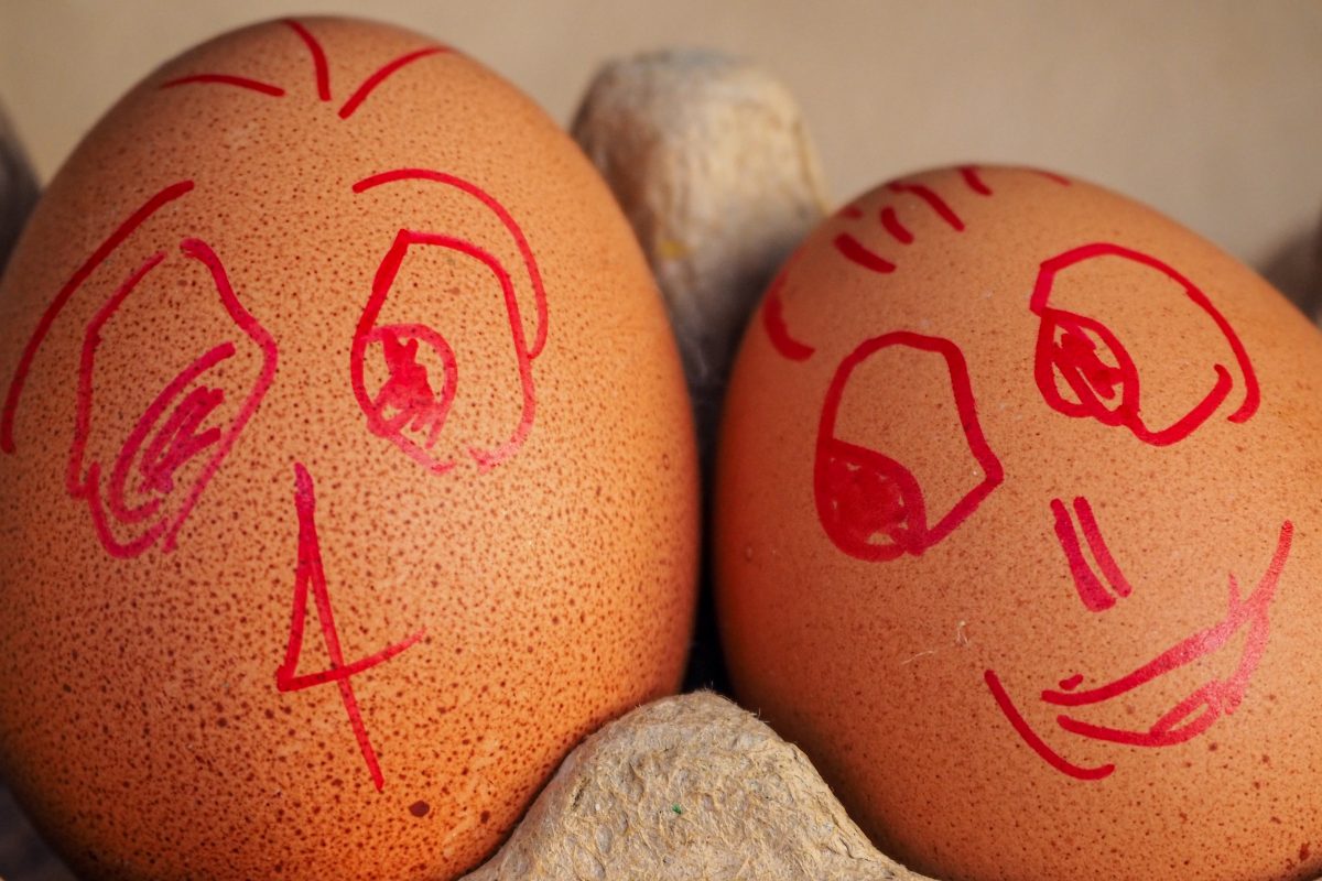 wim van t einde jmpAn7J00DY unsplash - FiZ Leipzig