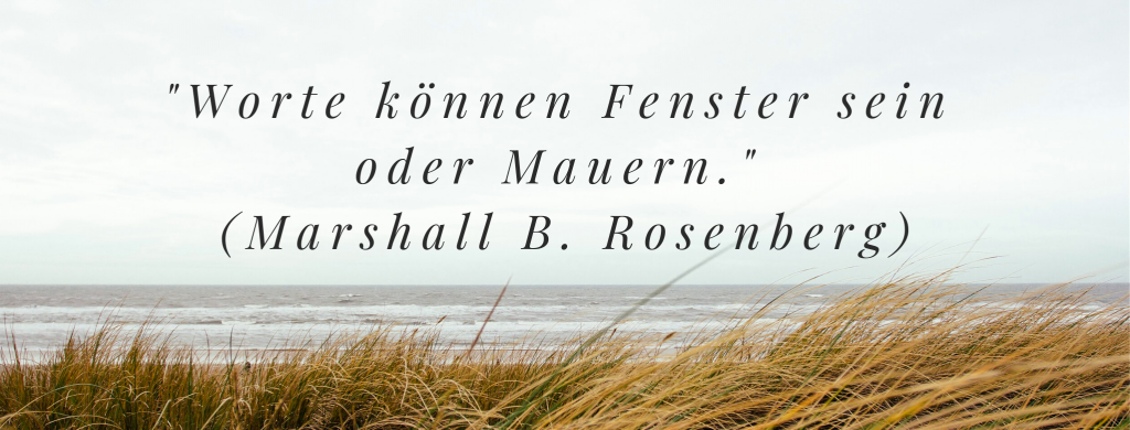 FB Cover Rosenberg - FiZ Leipzig