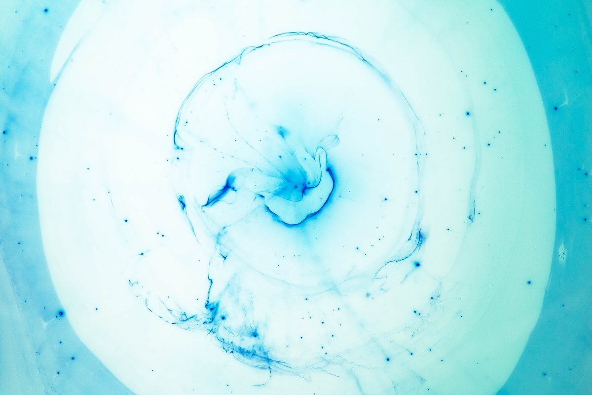 joel filipe BNcdsnUNqUY unsplash - FiZ Leipzig