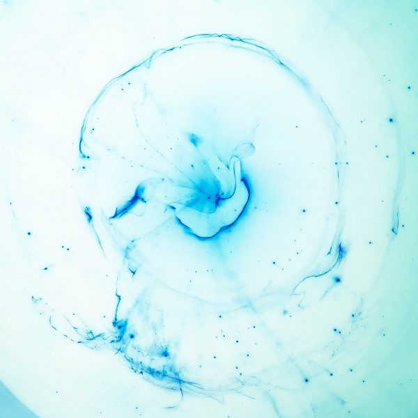 joel filipe BNcdsnUNqUY unsplash - FiZ Leipzig