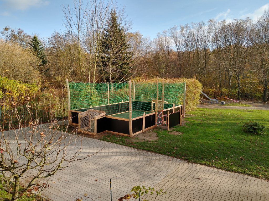 Eröffnung des Fußballfelds - FiZ Leipzig Im Garten des Kindergartens steht ein Fußballfeld mit Banden.