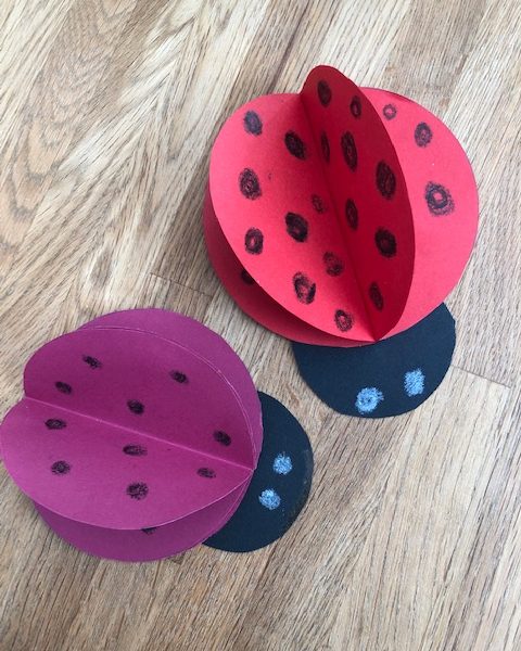 marienkaefer - FiZ Leipzig