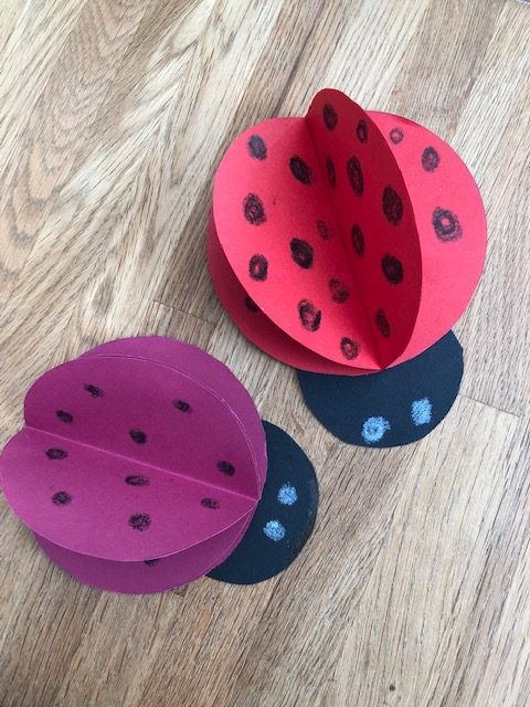 marienkaefer rotated - FiZ Leipzig