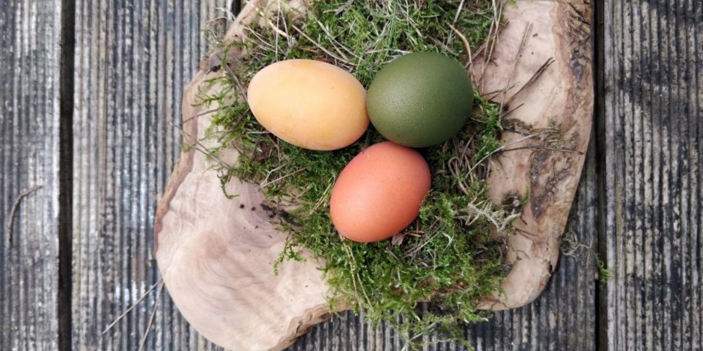 ostern - FiZ Leipzig