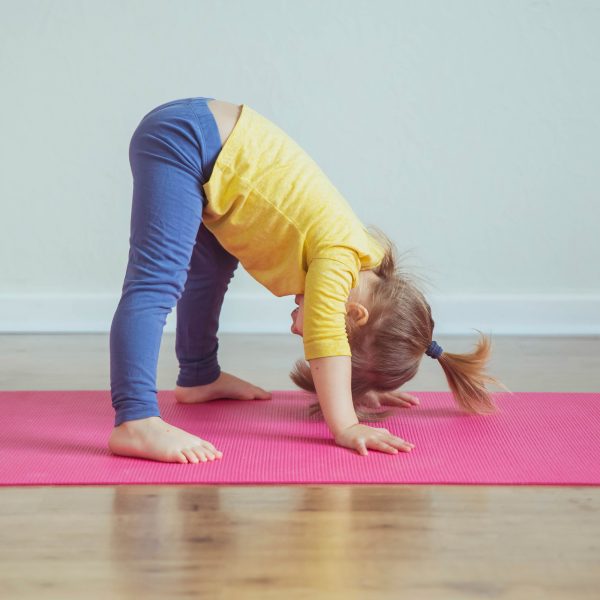 AdobeStock 489722279 - FiZ Leipzig