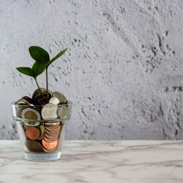 micheile dot com f030K9IzpcM unsplash - FiZ Leipzig