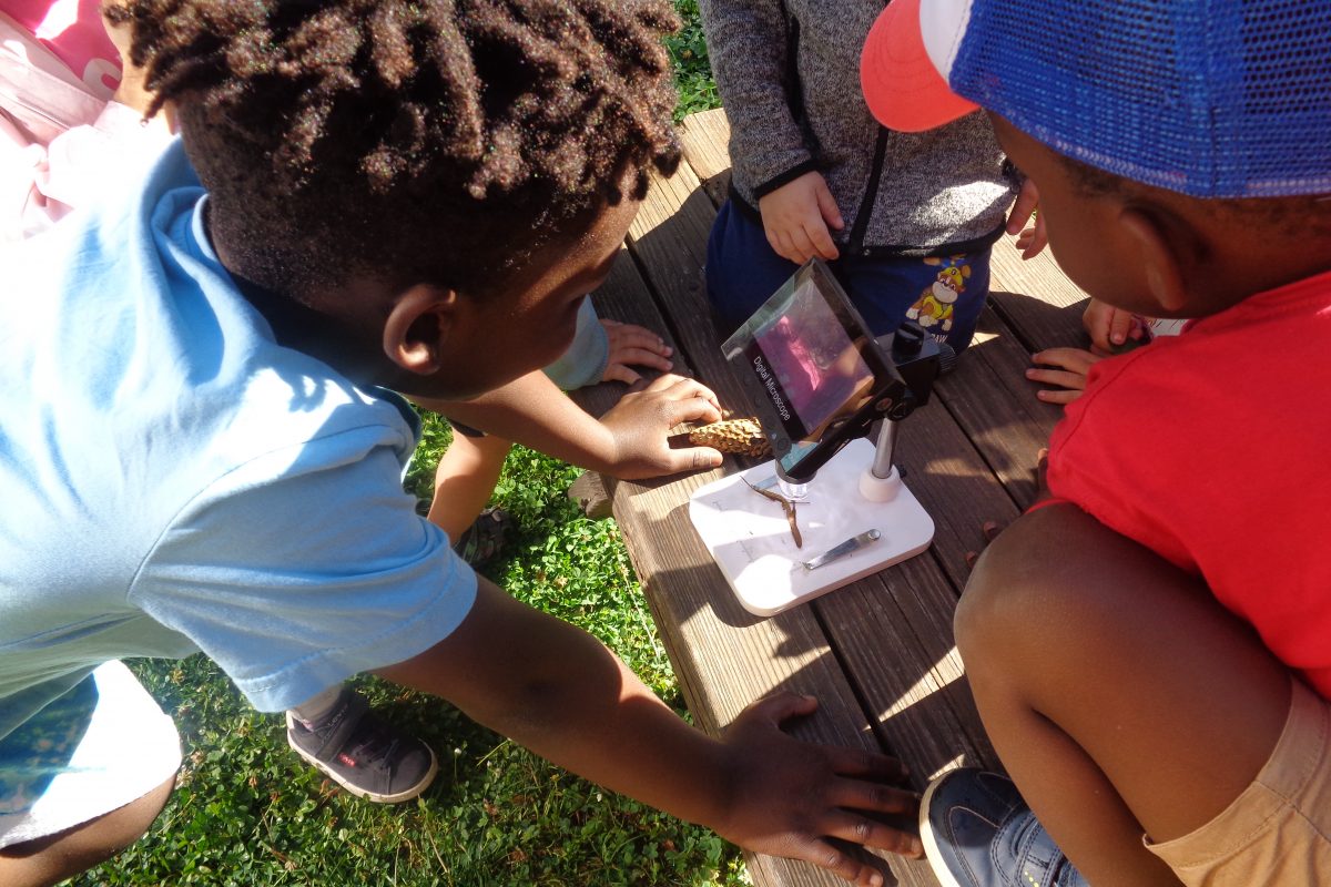 DSC00996 - FiZ Leipzig