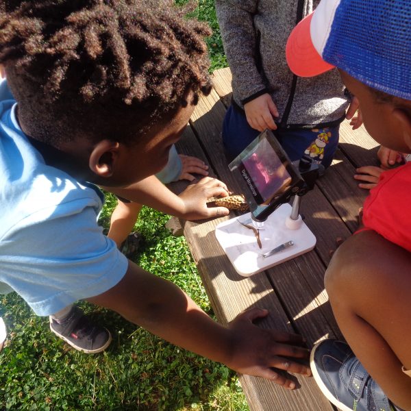 DSC00996 - FiZ Leipzig