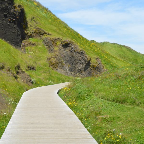 Catharina Guth 2024 MBSR Kurs - FiZ Leipzig