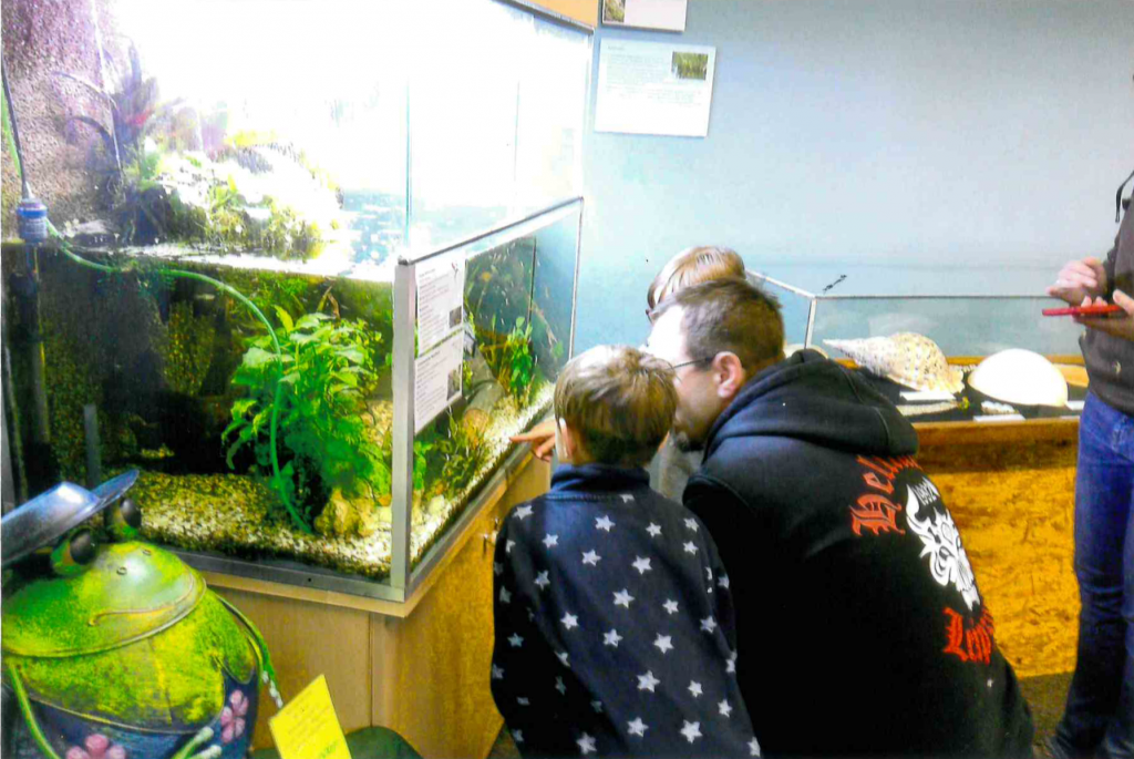 Eine erwachsenen Person und zwei Kinder schauen in ein Terrarium beim KiFaZ-Ausflug mit den "Kleinen Entdeckern" ins Leipziger Regenwaldmuseum.