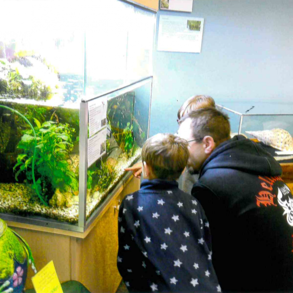 Eine erwachsenen Person und zwei Kinder schauen in ein Terrarium beim KiFaZ-Ausflug mit den "Kleinen Entdeckern" ins Leipziger Regenwaldmuseum.