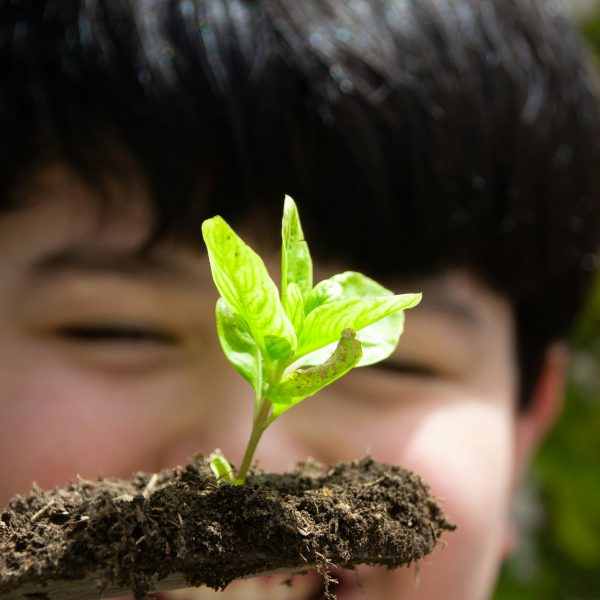 Ein Kind beim Gärtnern
