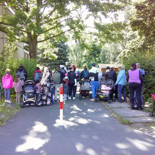 Eine Gruppe von Erwachsenen und Kindern läuft gemeinsam auf einem Spazierwegs in die Natur. Einige Personen haben Kinderwagen bei sich. Die Sonne scheint durch Blätter.
