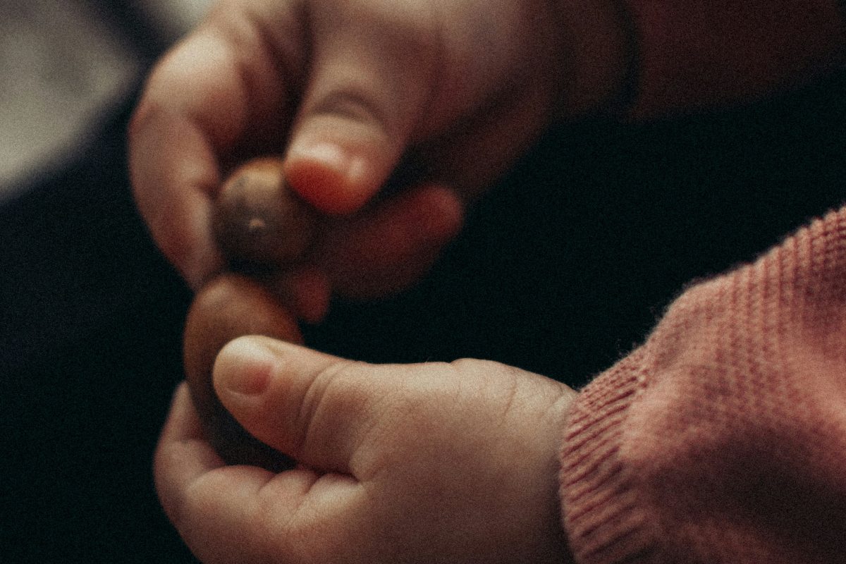 Nahaufnahme der Hände eines Babys, das mit Eicheln spielt.