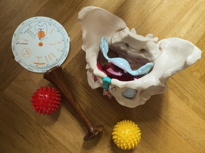 Geburtsvorbereitung Leonie Gerber - FiZ Leipzig