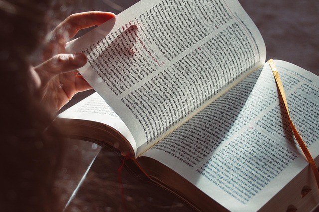 Lesen - FiZ Leipzig