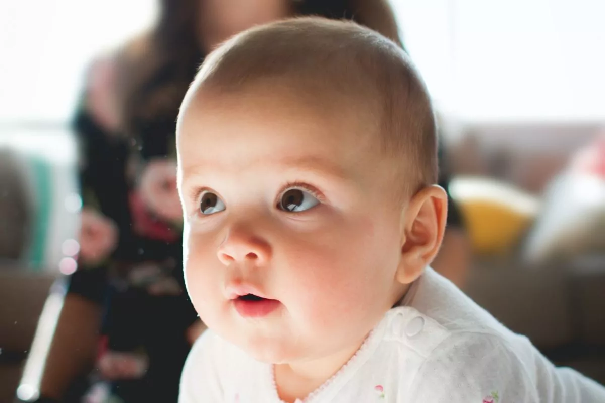 kevin gent mVk7pnnlULc unsplash scaled - FiZ Leipzig