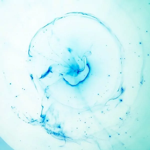 joel filipe BNcdsnUNqUY unsplash - FiZ Leipzig