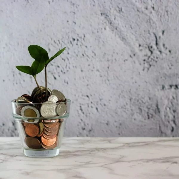 micheile dot com f030K9IzpcM unsplash - FiZ Leipzig