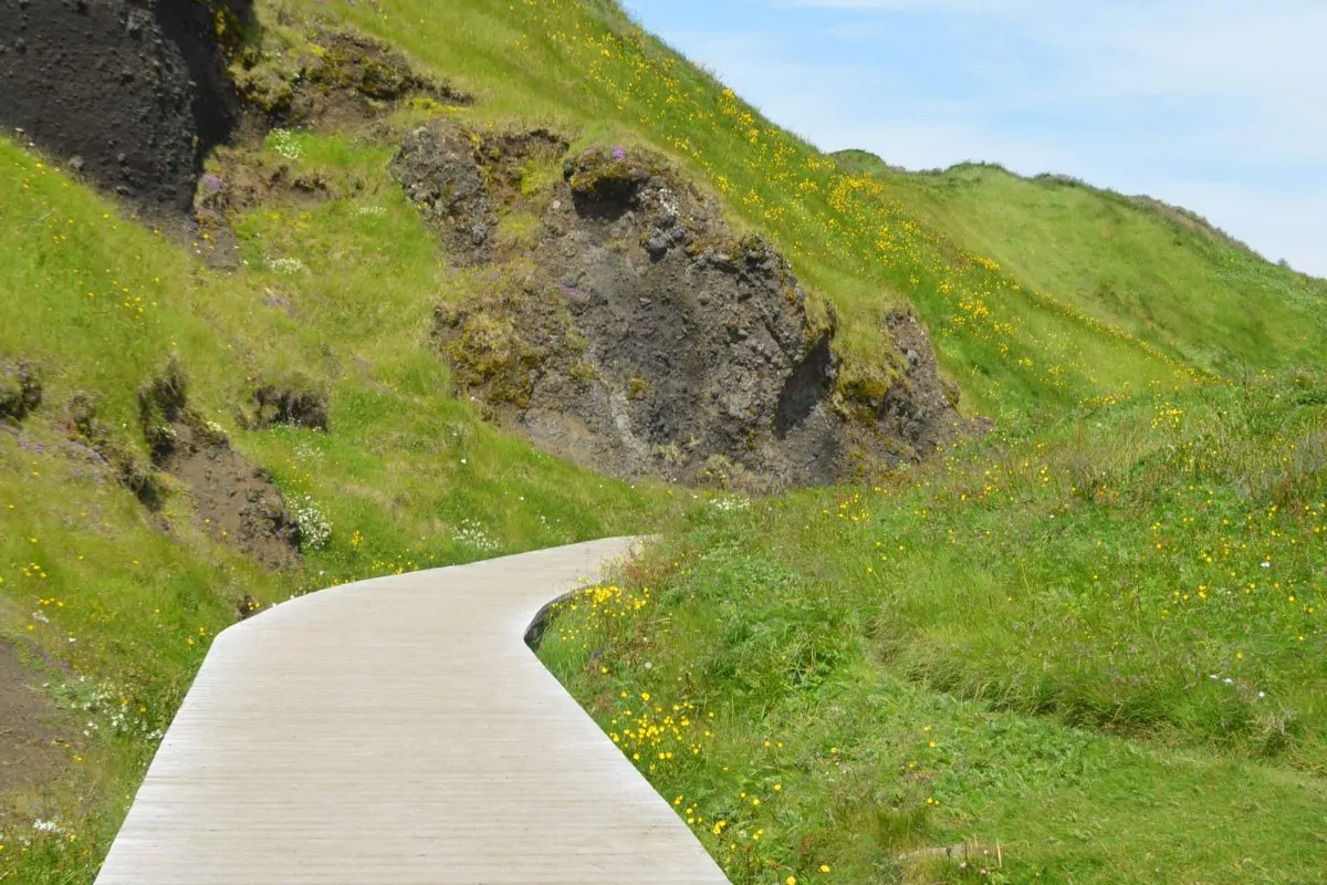 Catharina Guth 2024 MBSR Kurs - FiZ Leipzig