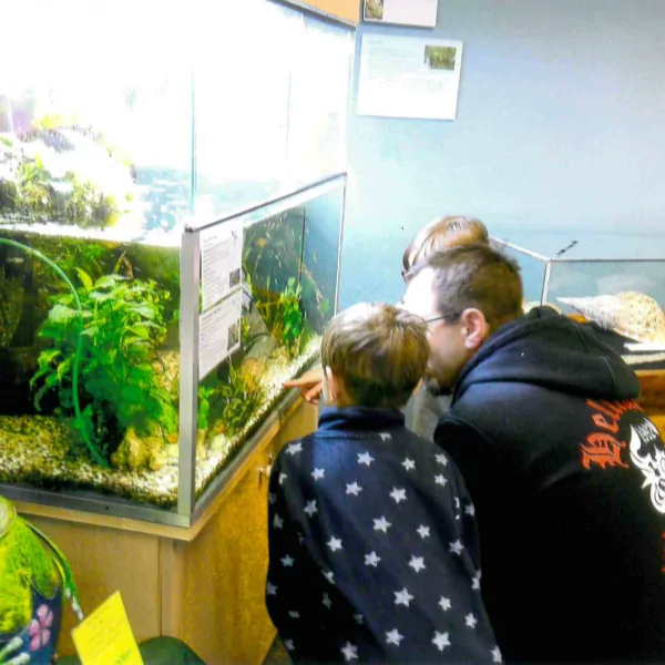 Eine erwachsenen Person und zwei Kinder schauen in ein Terrarium beim KiFaZ-Ausflug mit den "Kleinen Entdeckern" ins Leipziger Regenwaldmuseum.