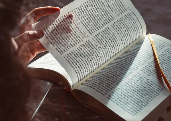 Lesen - FiZ Leipzig